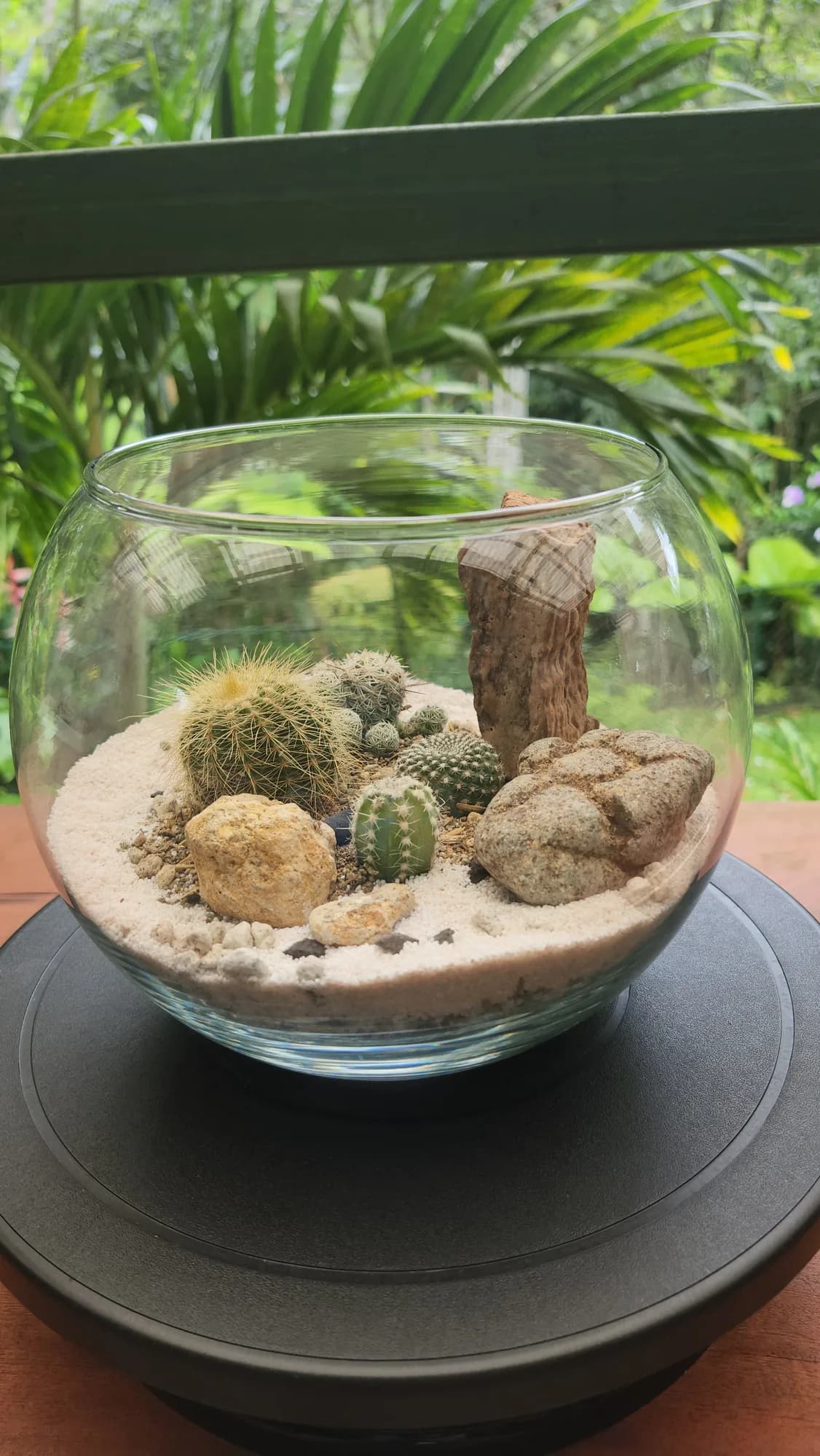Terrario