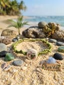 Pulsera artesanal tejida en técnica de macrame en color verde con una tortuga de Costa Rica y un nudo corredizo para ajustarla en la muñeca